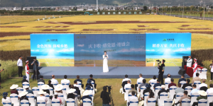 让农民真切感受到丰收的喜悦，云南农垦集团举行农民丰收节庆祝活动