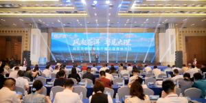 从”风花雪月”到”湾区机遇”：大理文旅湾区推介会的创新启示