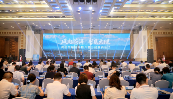 从”风花雪月”到”湾区机遇”：大理文旅湾区推介会的创新启示