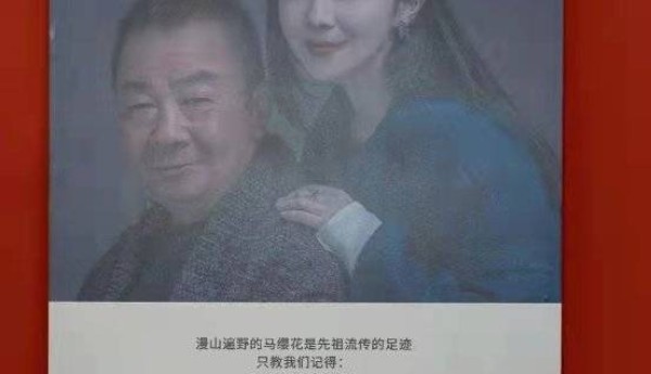 2021第四届中国昆明金茶花文创设计大赛 进入决赛评审