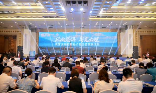 从”风花雪月”到”湾区机遇”：大理文旅湾区推介会的创新启示